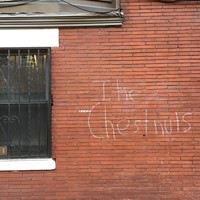 The Chestnuts - Bricks for an Old Fat Man