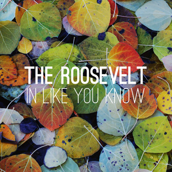 The Roosevelt - In Like You Know