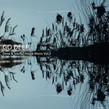Various Artists - Go Deep: Deep & Soulful House Music, Vol. 2