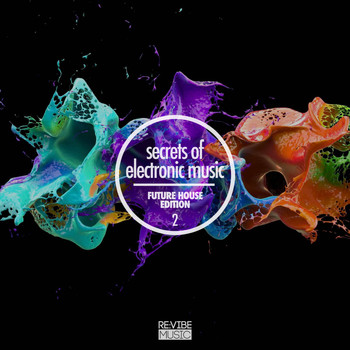 Various Artists - Secrets of Electronic Music - Future House Edition #2