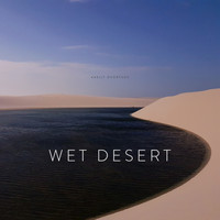 Vasily Dvortsov - Wet Desert