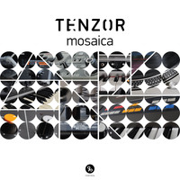 Tenzor - Mosaica