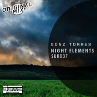 Gonz Torres - Night Elements