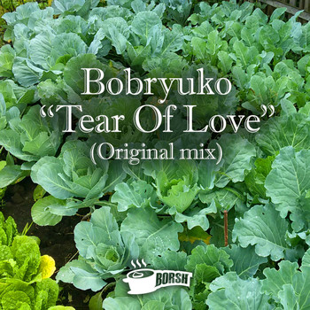 Bobryuko - Tear Of Love