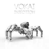 VoKai - Injection