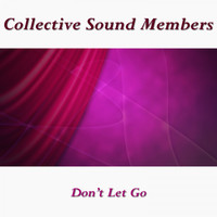 Collective Sound Members - Don't Let Go