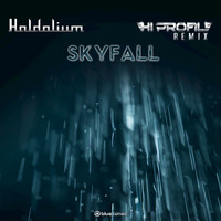 Haldolium feat. Jan Schmidt - Skyfall (Hi Profile Remix)