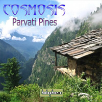 Cosmosis - Parvati Pines