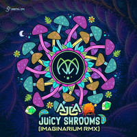 Ajja - Juicy Shrooms (Imaginarium Remix)