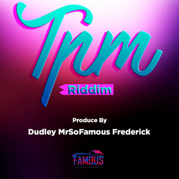 Various Artists - T.P.M RIDDIM