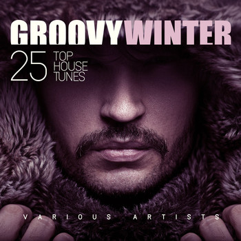 Various Artists - Groovy Winter (25 Top House Tunes)