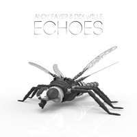 Andy Fayer & Dix Wille - Echoes