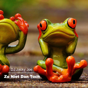 DJ Jacky Joe - Zo Niet Dan Toch
