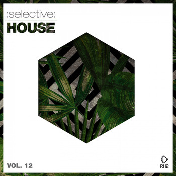 Various Artists - Selective: House, Vol. 12