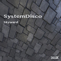 SystemDisco - Skyward