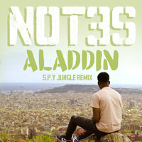Not3s - Aladdin (S.P.Y Jungle Remix)