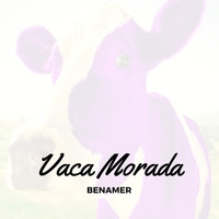Benamer - Vaca Morada