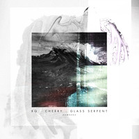RQ - DAWN005