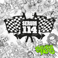 Serum 114 - Kopfüber ins Nichts