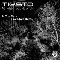 Tiësto featuring Christian Burns - In the Dark