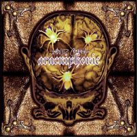 David Correa - Aracniphonic