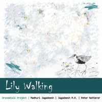 DroneAtalk Project - Lily Walking