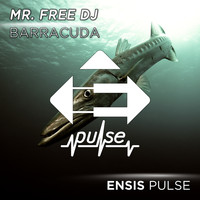 Mr.Free DJ - Barracuda