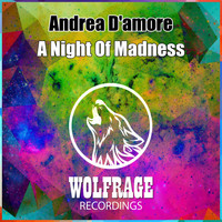 Andrea d'Amore - A Night Of Madness