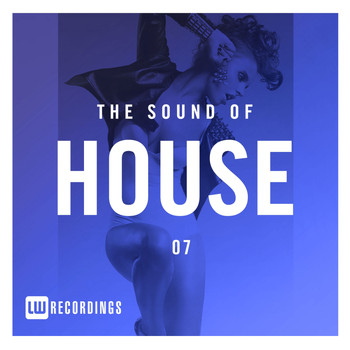 Various Artists - The Sound Of House, Vol. 07