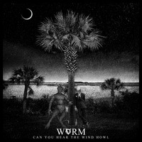 Wvrm - Can You Hear the Wind Howl