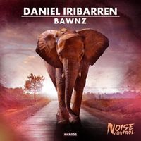 Daniel Iribarren - BAWNZ