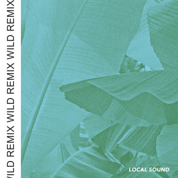 Local Sound - Wild (Remix)