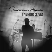 Shadmehr Aghili - Taghdir (Live)