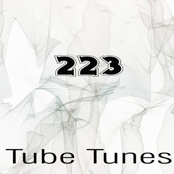 Various Artists - Tube Tunes, Vol.223