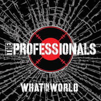 The Professionals - What in the World