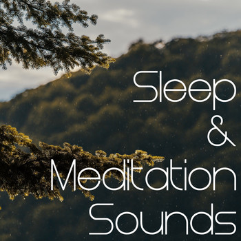 Rain Sounds, Nature Sounds Nature Music, Sleep Sounds of Nature - 19 Rain and Nature Sounds Perfect for Looping for Sleep or Meditation