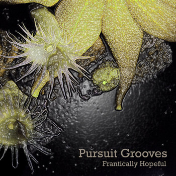 Pursuit Grooves - Frantically Hopeful