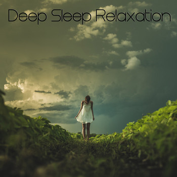 Nature Sounds, Zen Music Garden, Rain Recorders - 100% Deep Sleep Relaxation - Rain Sounds to Drift Off and Sleep Soundly