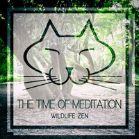 The Time Of Meditation - Wildlife Zen