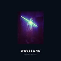 Waveland - Cinq années sans soleil