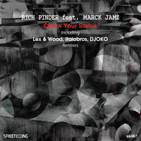 Rich Pinder - Check Your Status