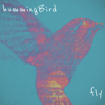 Hummingbird - fly