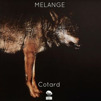 Melange - Cotard