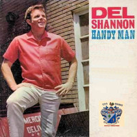 Del Shannon - Handy man