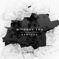 Avicii - Without You (Remixes [Explicit])