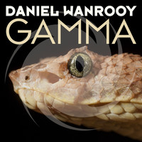 Daniel Wanrooy - Gamma