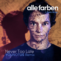 Alle Farben & Sam Gray - Never Too Late (YOUNOTUS Remix)