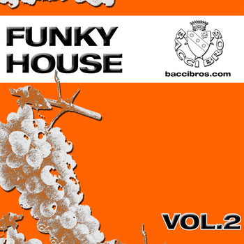 Various - Funky House (Vol. 2)