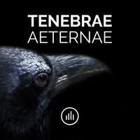 myNoise - Tenebrae Aeternae