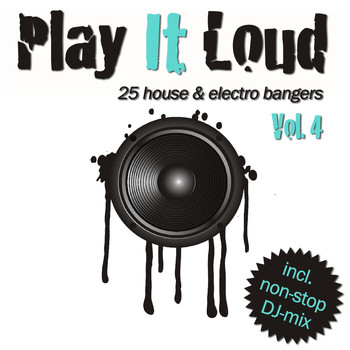 Various Artists - Play It Loud, Vol. 4